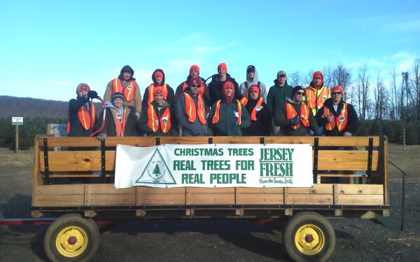 EGV.Helpers EGV.Helpers